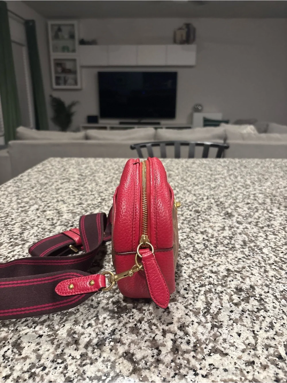 COACH Camera Heart Bag | Red and Brown | Medium
